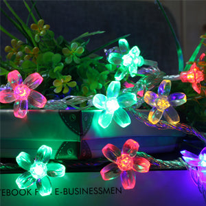 Multi-coloured flower lights