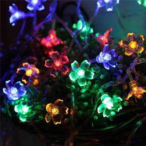 Multi-coloured flower lights