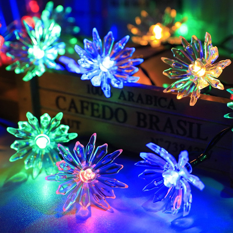 Multi-coloured flower lights