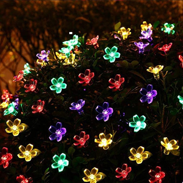 Multi-coloured flower lights