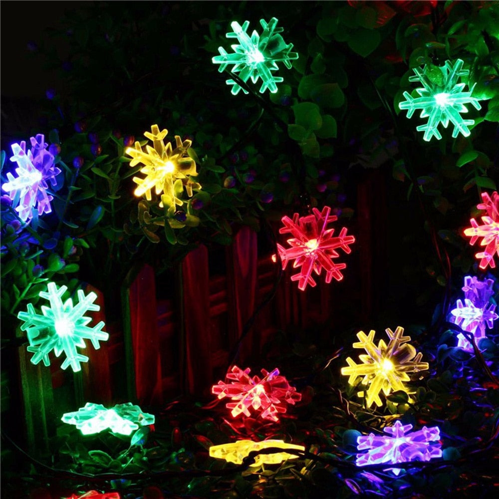 Multi-coloured flower lights