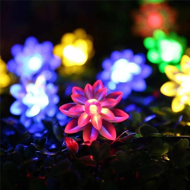 Multi-coloured flower lights