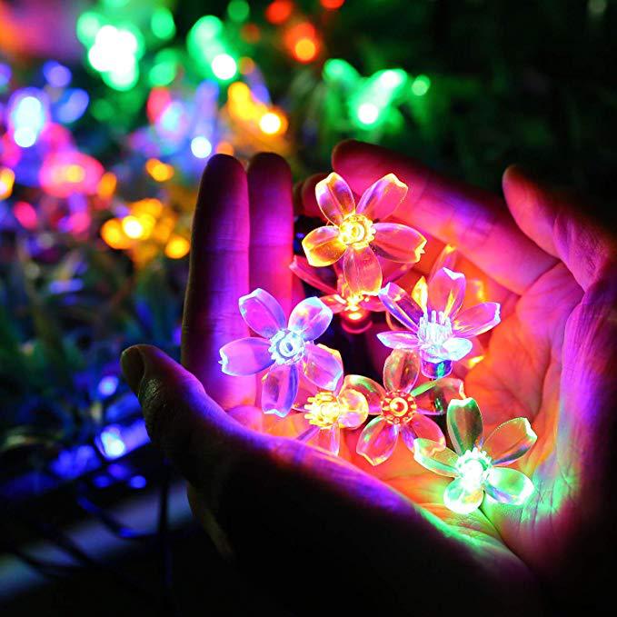 Multi-coloured flower lights